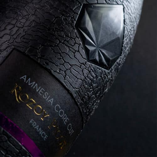 AMNESIA CORE CUT Rozoy & Picot